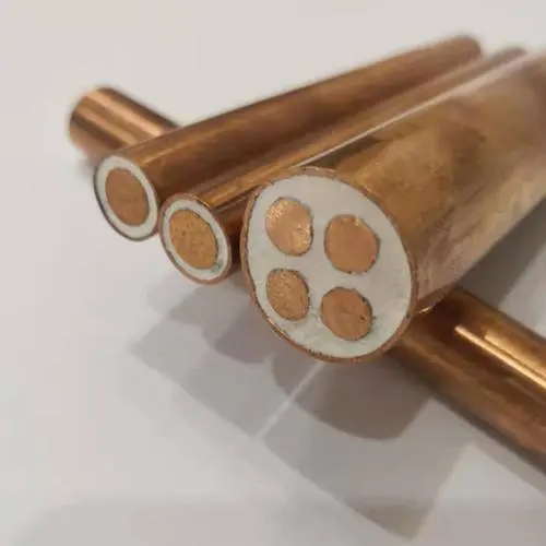 微信图片_20231230124834 微信图片_20231230124834