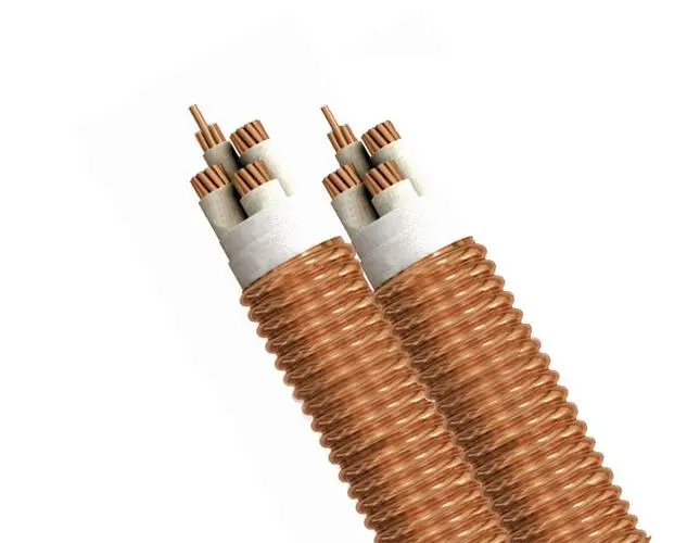 微信图片_202312301248341 微信图片_202312301248341