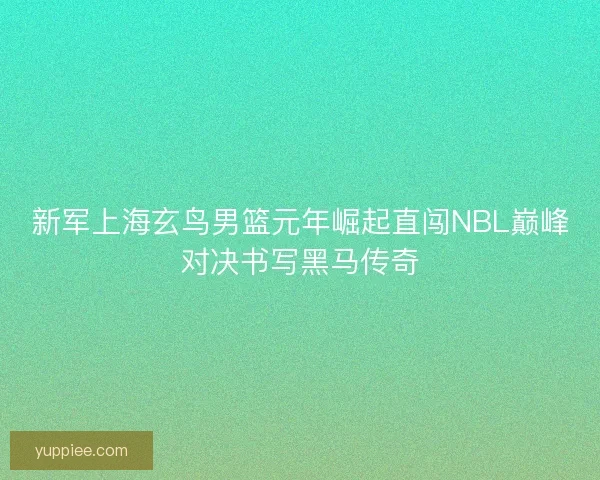 新军上海玄鸟男篮元年崛起直闯NBL巅峰对决书写黑马传奇 新军上海玄鸟男篮元年崛起直闯NBL巅峰对决书写黑马传奇
