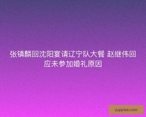张镇麟回沈阳宴请辽宁队大餐 赵继伟回应未参加婚礼原因